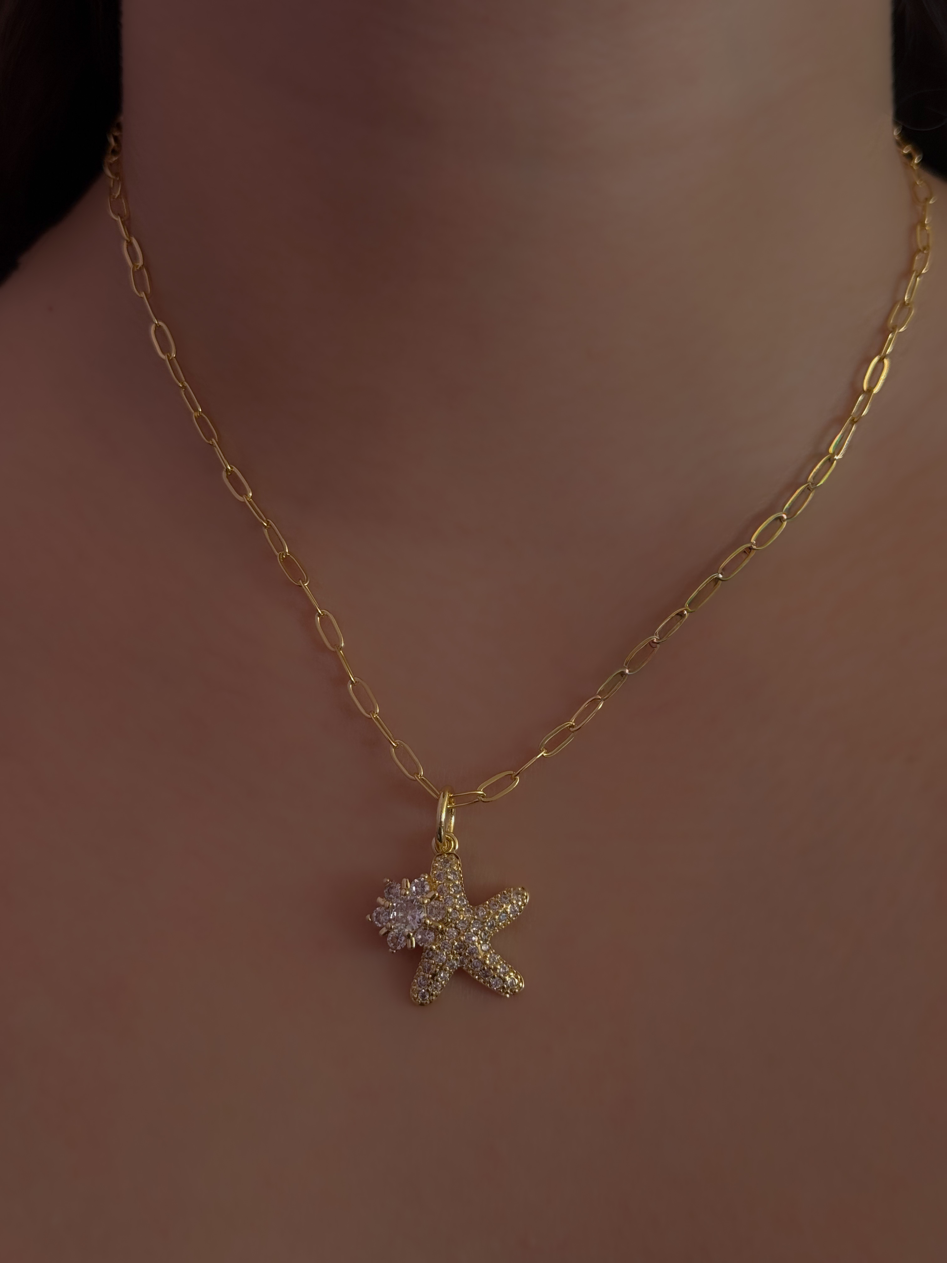 COLLAR CORAL