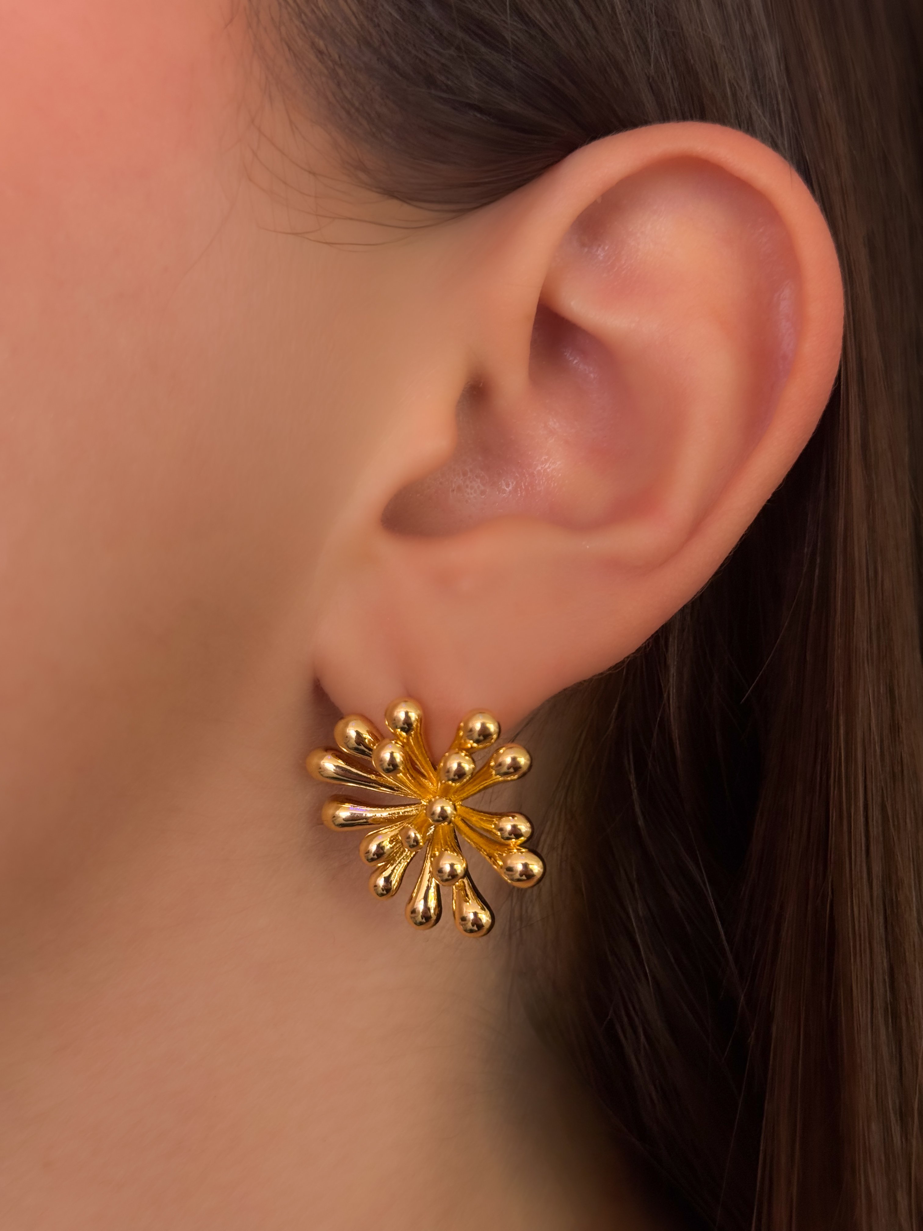 ARETE ARRECIFE
