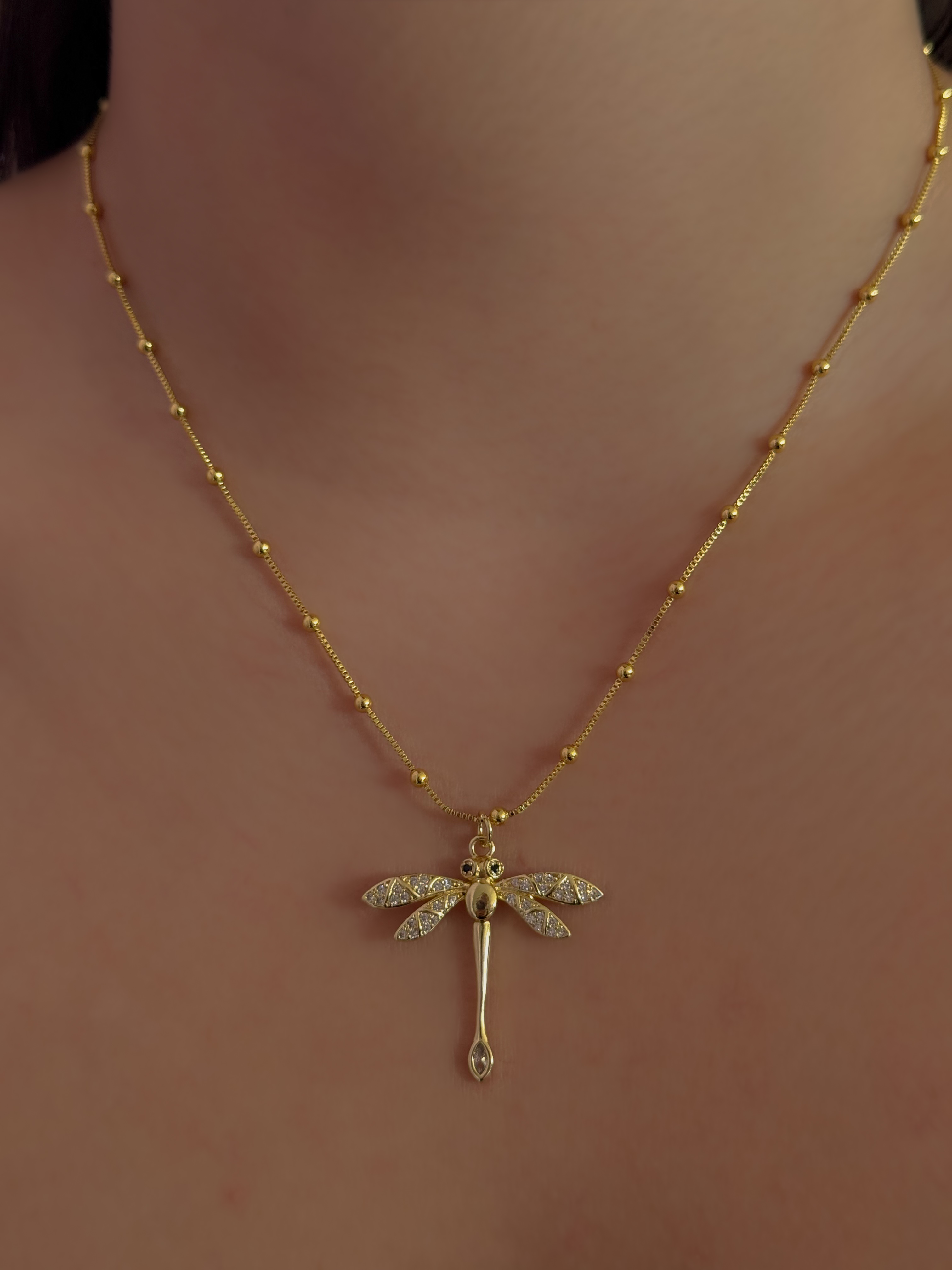 Collar Fly
