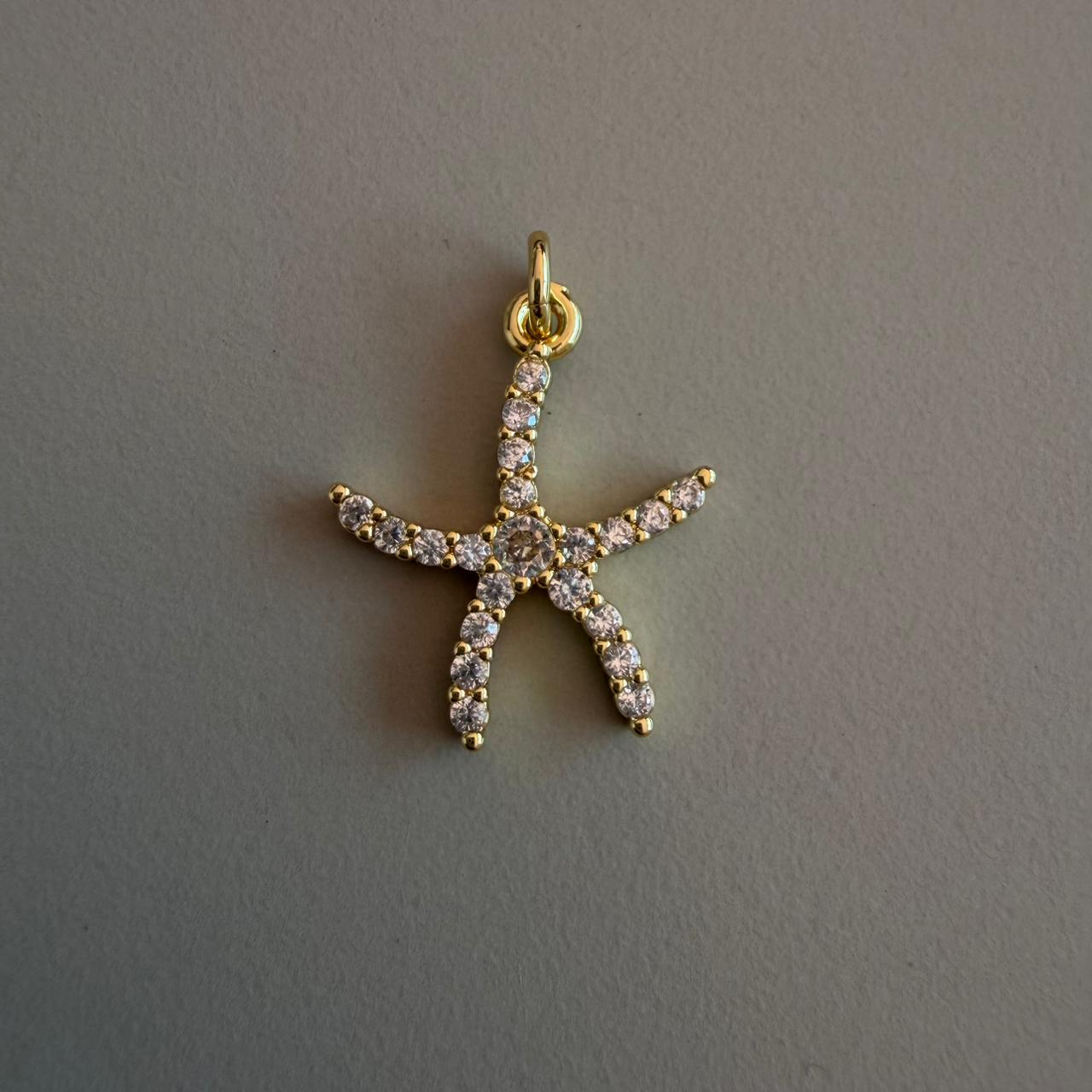 DIJE ESTRELLA DE MAR