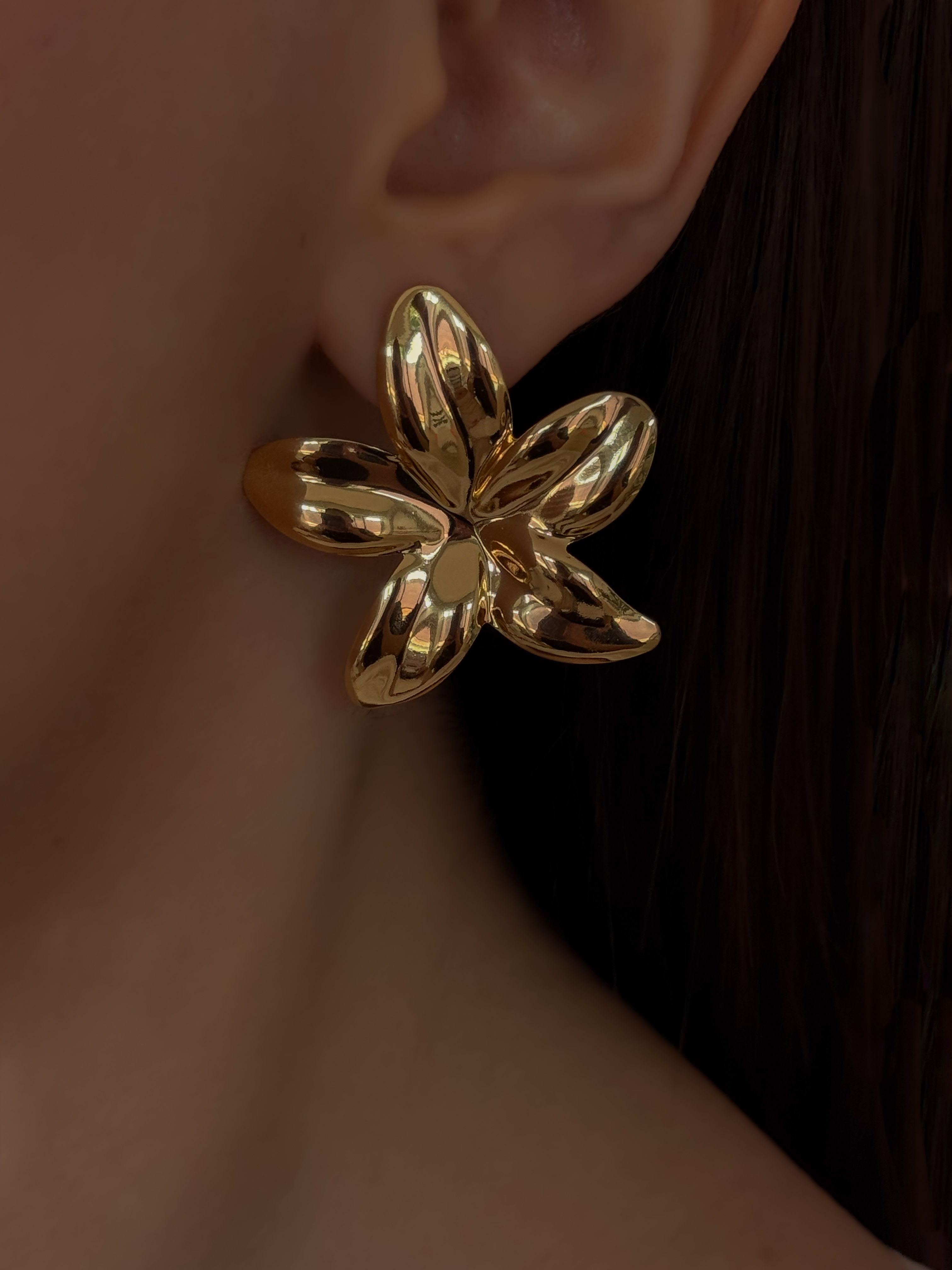 ARETE FLORIDA