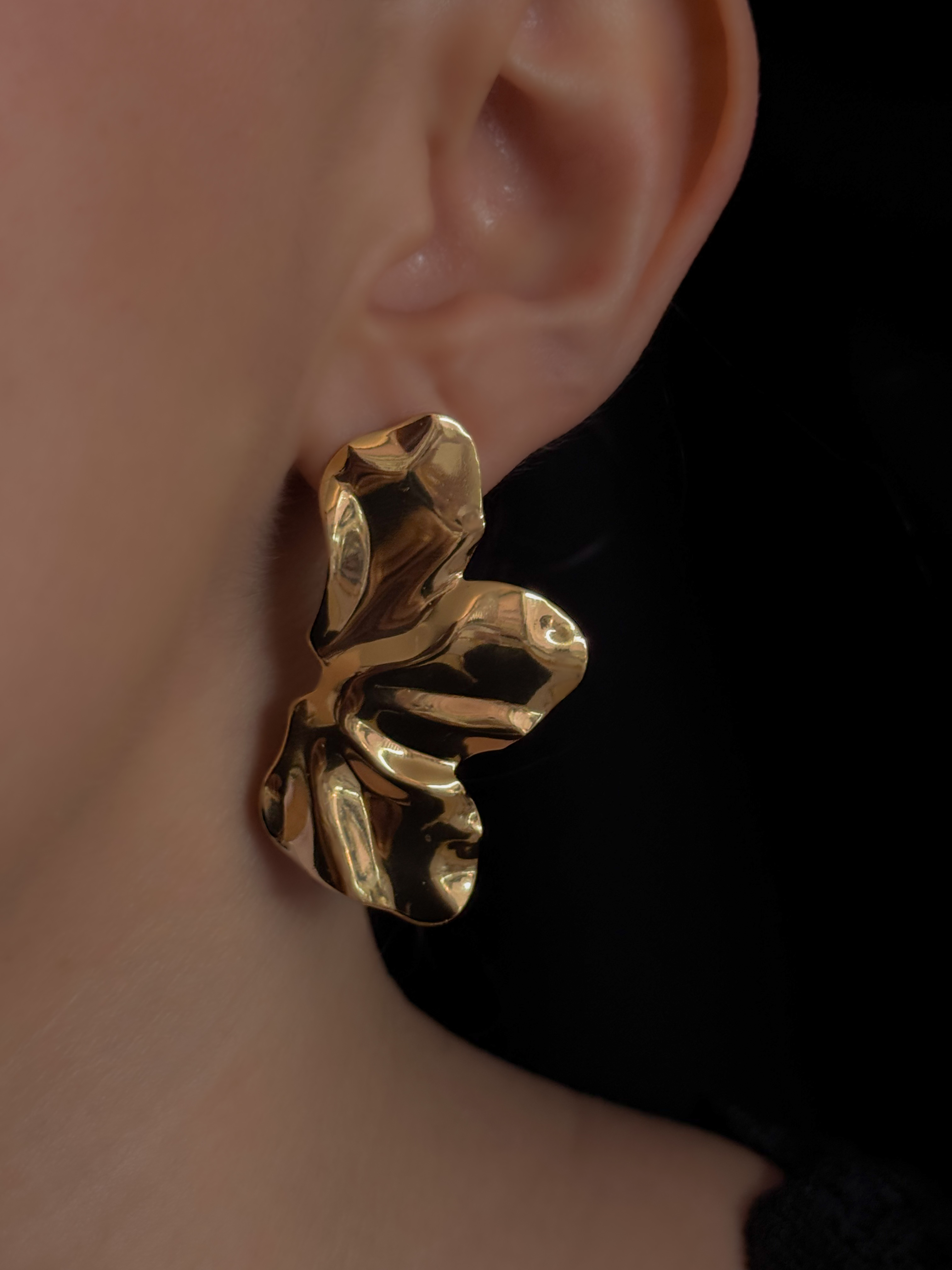 ARETE HAWAII