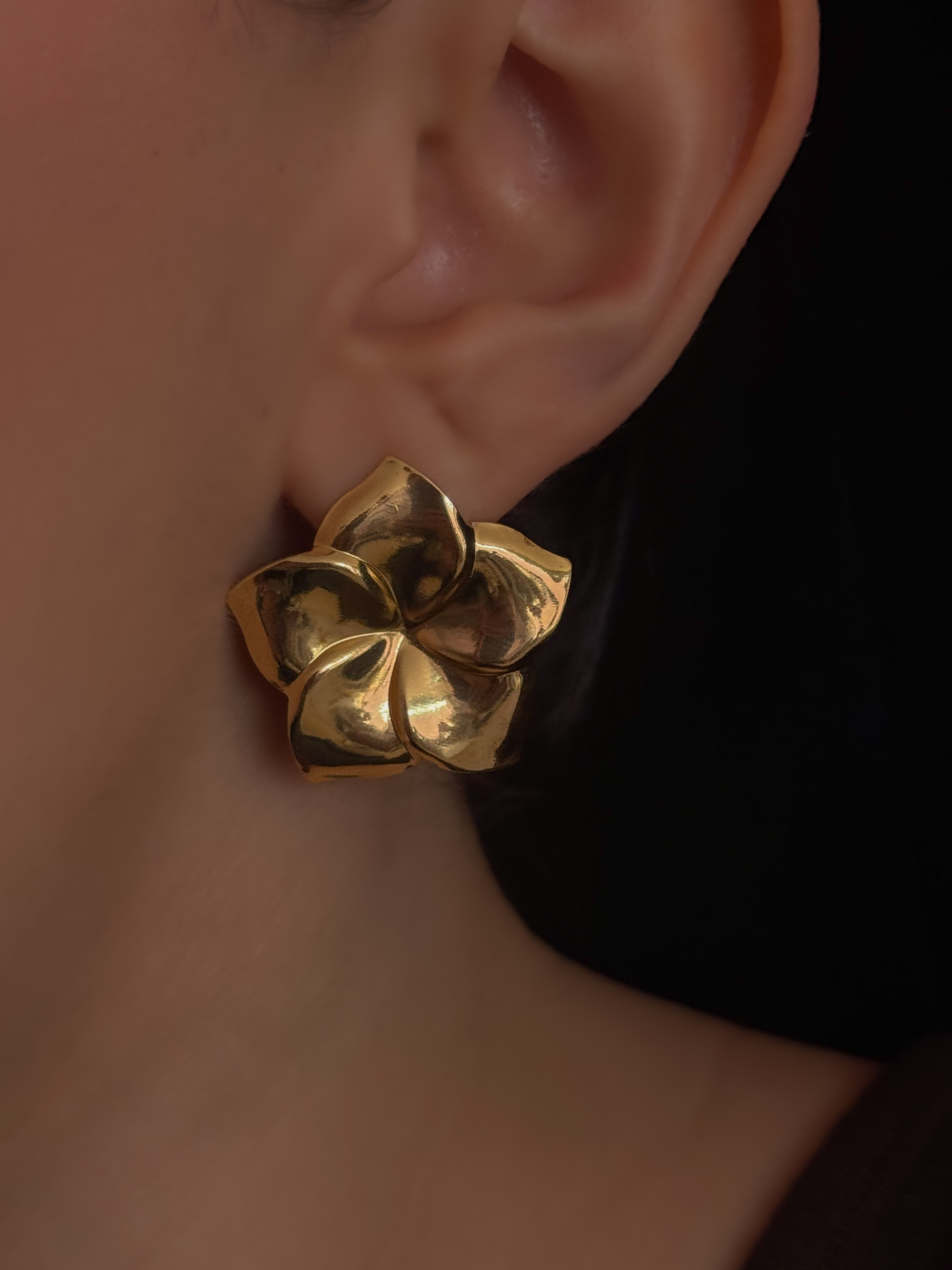 ARETE BEGONIA