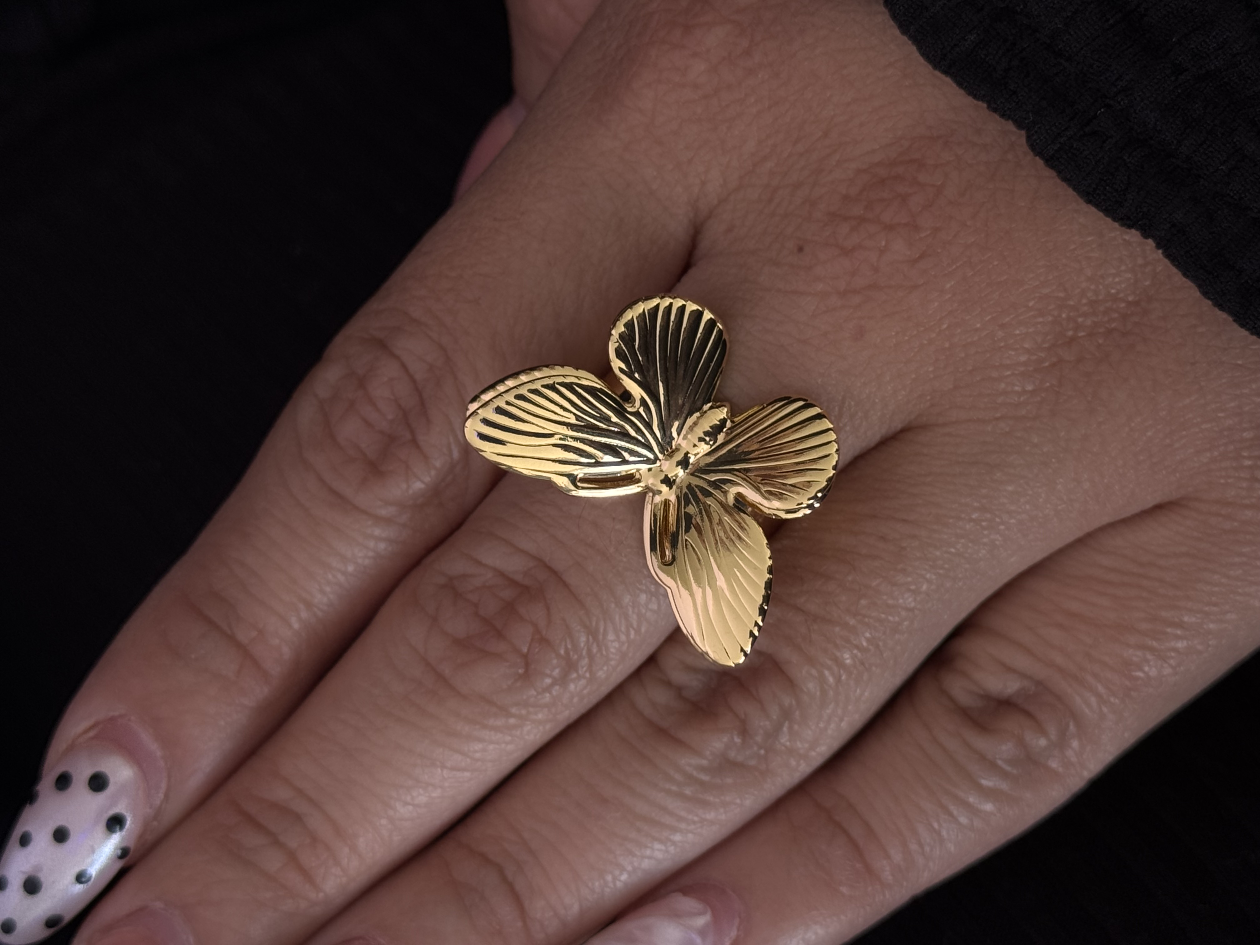 ANILLO FLY